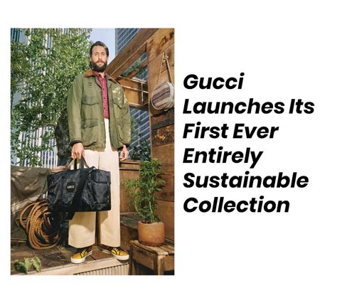 gucci sustainability|is gucci a sustainable brand.